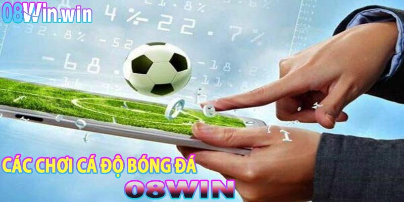 Cách Chơi Cá Độ Bóng Đá 08win