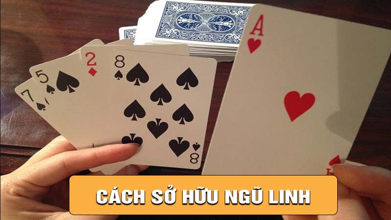 Cách sở hữu ngũ linh